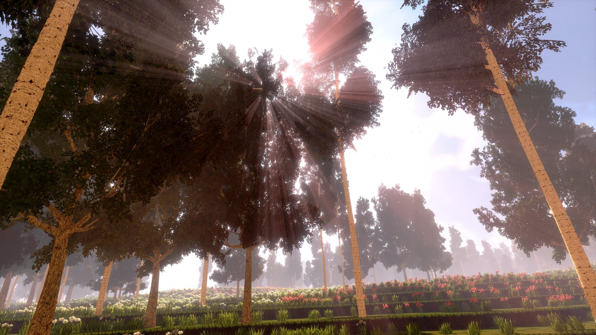 Sunlight streaming through tall voxel trees in cyubeVR — volumetric god rays over a wildflower meadow at midday